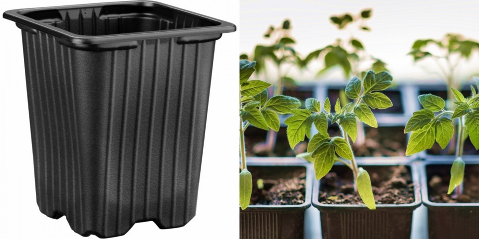 Thermoform Kare Saksı 100 Adet 9 Cm