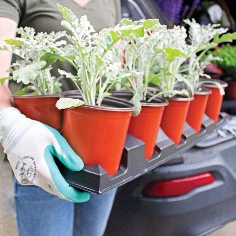 Thermoform Saksı 50 Adet 10.5 Cm