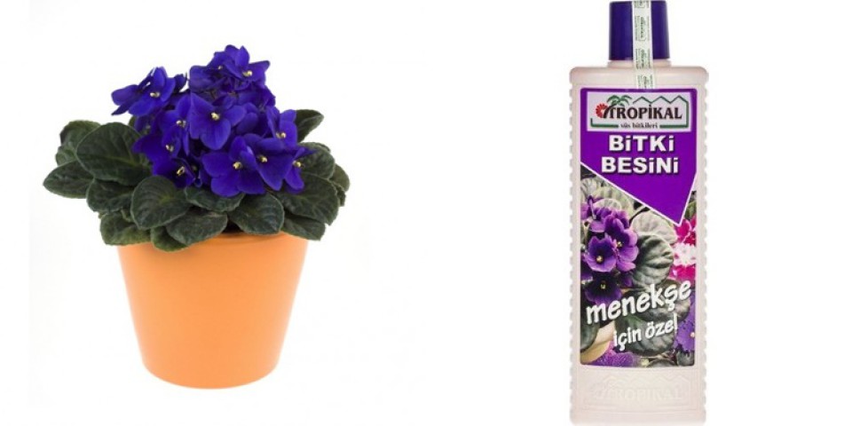 Tropikal Bitki Besini 6 Adet Menekşe 1000 ML