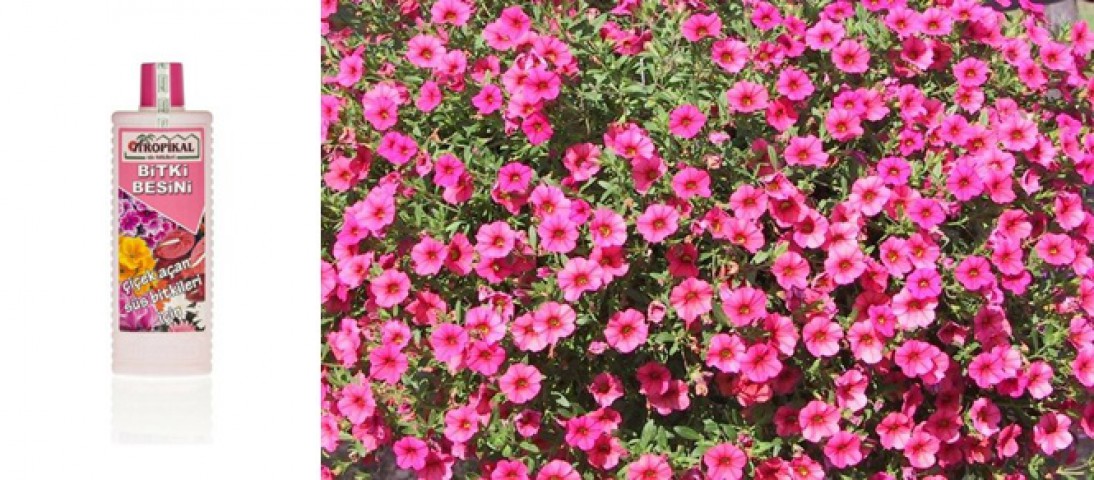 Tropikal Bitki Besini Çiçek Açtıran 1000 ML