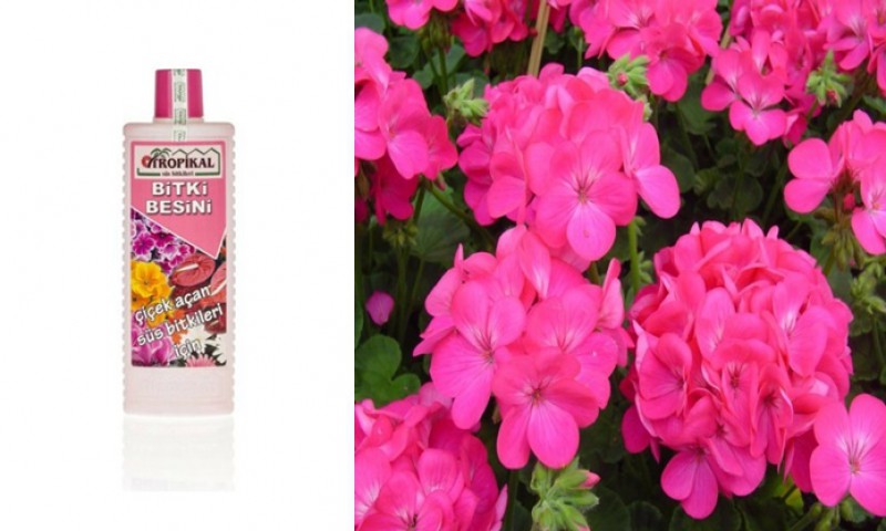 Tropikal Bitki Besini Çiçek Açtıran 1000 ML Tropikal Bitki Besini Çiçek Açtıran 1000 ML
