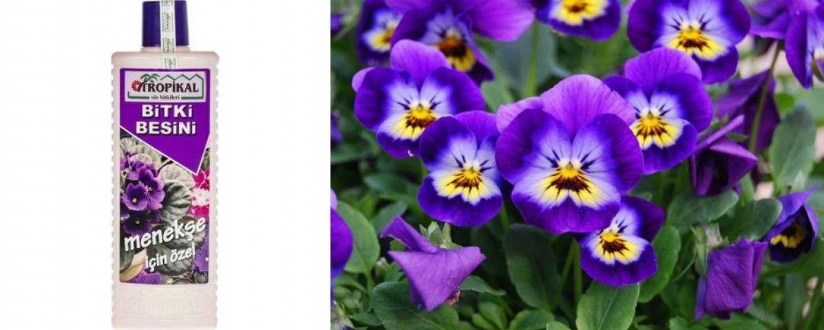 Tropikal Bitki Besini Menekşe 1000 ML