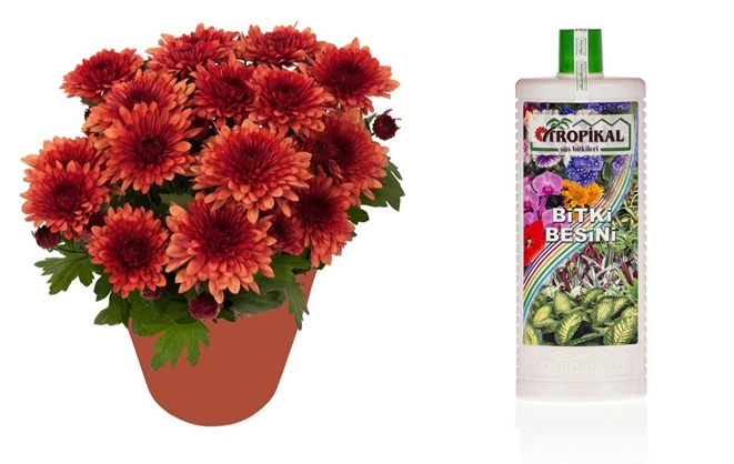 Tropikal Bitki Besini- 1000 ML