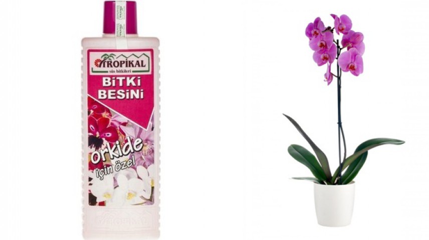 Tropikal Orkide Besin Bitkisi - 1000 ML
