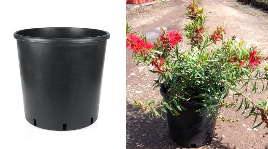 Üretim Saksısı Siyah 100 Adet - 15 CM 1.5 Lt
